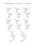 ANTISENSE COMPOSITION AND METHOD FOR INHIBITION OF miRNA BIOGENESIS diagram and image