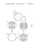 METHODS OF POSITIONING AND/OR ORIENTING NANOSTRUCTURES diagram and image