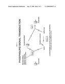 Highly Purified Ethyl EPA and Other EPA Derivatives diagram and image