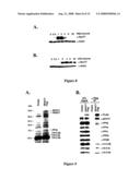 Dephosphorylation of HDAC7 By Myosin Phosphatase diagram and image