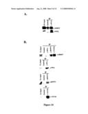 Dephosphorylation of HDAC7 By Myosin Phosphatase diagram and image