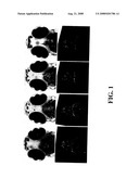Transgenic Zebrafish Models of Alzheimer s Disease diagram and image