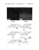 Methods of Making Functionalized Nanorods diagram and image