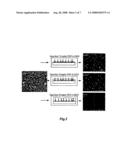 Methods of Making Functionalized Nanorods diagram and image