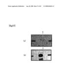 Device For Installing Suction Jig For Eyeglass Lens and Method For Determining Suction Jig Installation Position diagram and image