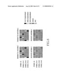 Apparatus and method for interference cancellation in broadband wireless access communication system diagram and image