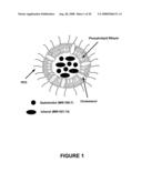 Compositions and Method for Multimodal Imaging diagram and image