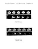 Compositions and Method for Multimodal Imaging diagram and image
