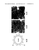 DELIVERY SYSTEM FOR DIAGNOSTIC AND THERAPEUTIC AGENTS diagram and image