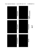 DELIVERY SYSTEM FOR DIAGNOSTIC AND THERAPEUTIC AGENTS diagram and image