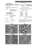 Cspcna Isoform Antibodies and Uses Thereof diagram and image