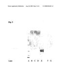 Conjugates of a Polymer and a Protein Linked by an Oxime Group diagram and image