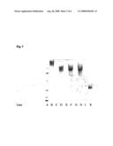 Conjugates of a Polymer and a Protein Linked by an Oxime Group diagram and image