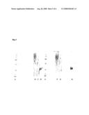 Conjugates of a Polymer and a Protein Linked by an Oxime Group diagram and image