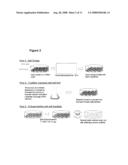 Pro-Angiogenic Polymer Scaffolds diagram and image