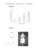 Pro-Angiogenic Polymer Scaffolds diagram and image