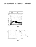 Glycosylated IL-7, Preparation And Uses diagram and image