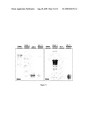 Glycosylated IL-7, Preparation And Uses diagram and image