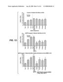 BONE MARROW-DERIVED NEURONAL CELLS diagram and image