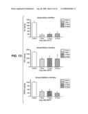 BONE MARROW-DERIVED NEURONAL CELLS diagram and image