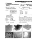 Drugs for the Prevention or Treatment of Immunodeficiencies, Autoimmune Diseases or for the Induction of Immune Tolerance diagram and image