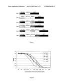 Angiogenesis-Inhibiting Chimeric Protein and the Use diagram and image