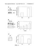 Pharmaceutical Compositions for the Treatment of Neurodegenerative Disorders diagram and image