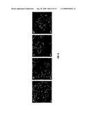 METHODS OF GENERATING SUPPORTED NANOCATALYSTS AND COMPOSITIONS THEREOF diagram and image