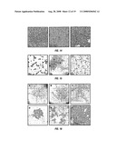 METHODS OF GENERATING SUPPORTED NANOCATALYSTS AND COMPOSITIONS THEREOF diagram and image