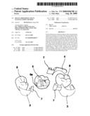 Dental Prosthesis and Its Manufacturing Method diagram and image