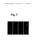 Functional Genomics and Gene Trapping in Haploid or Hypodiploid Cells diagram and image