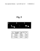 Functional Genomics and Gene Trapping in Haploid or Hypodiploid Cells diagram and image