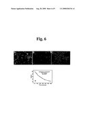 Functional Genomics and Gene Trapping in Haploid or Hypodiploid Cells diagram and image