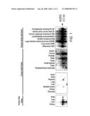 Novel fetal genes diagram and image