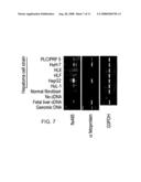 Novel fetal genes diagram and image