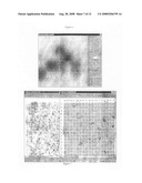 Gene regulatory networks and methods of interdiction for controlling the differentiation state of a cell diagram and image