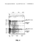 Truncated St6galnaci Polypeptides and Nucleic Acids diagram and image