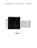 Truncated St6galnaci Polypeptides and Nucleic Acids diagram and image