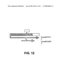 Truncated St6galnaci Polypeptides and Nucleic Acids diagram and image