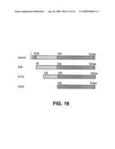 Truncated St6galnaci Polypeptides and Nucleic Acids diagram and image