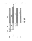 Truncated St6galnaci Polypeptides and Nucleic Acids diagram and image