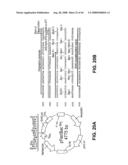 Truncated St6galnaci Polypeptides and Nucleic Acids diagram and image