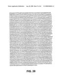 Truncated St6galnaci Polypeptides and Nucleic Acids diagram and image