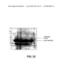 Truncated St6galnaci Polypeptides and Nucleic Acids diagram and image