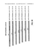 Truncated St6galnaci Polypeptides and Nucleic Acids diagram and image