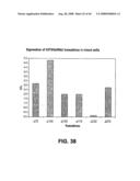 Truncated St6galnaci Polypeptides and Nucleic Acids diagram and image