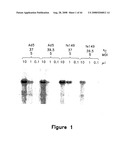Methods for generating high titer helper-free preparations of released recombinant AAV vectors diagram and image