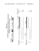 Means and methods for regulating gene expression diagram and image