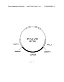 Method for Manufacturing Xylitol with High-Yield and High-Productivity diagram and image