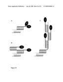 Nucleic Acid Complex diagram and image